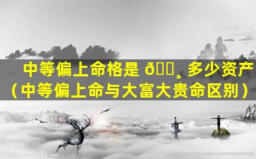 中等偏上命格是 🕸 多少资产（中等偏上命与大富大贵命区别）